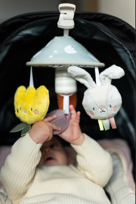 MÓVIL PARA CARRIOLA JARDÍN TAF TOYS