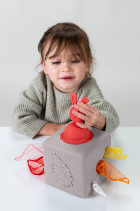 Caja de Pañuelos Silicón Pop Up Taf Toys