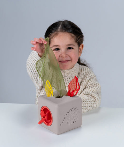 Caja de Pañuelos Silicón Pop Up Taf Toys