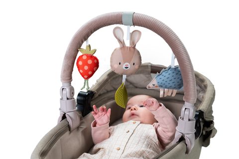 Arco Musical Conejo Taf Toys
