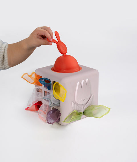 Caja de Pañuelos Silicón Pop Up Taf Toys