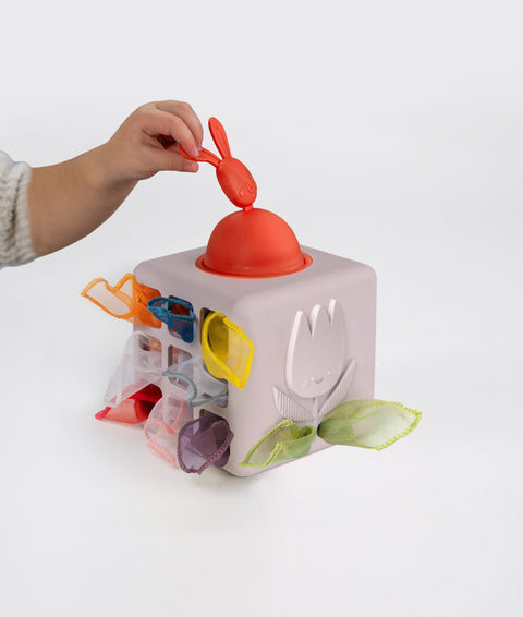 Caja de Pañuelos Silicón Pop Up Taf Toys