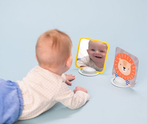 Tarjetas Didácticas para Bebés TAF TOYS