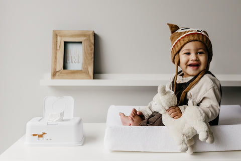 Dispensador de Toallitas Húmedas FUNKYBOX