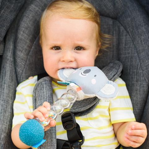 Sonaja de Koala para Bebé TAF TOYS