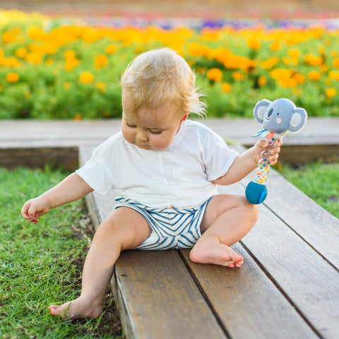 Sonaja de Koala para Bebé TAF TOYS