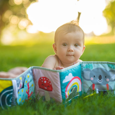 TAF TOYS Koala libro clip para carriola