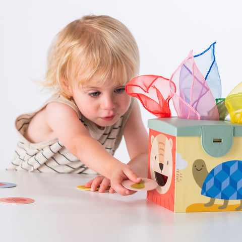 Caja Mágica para Bebés TAF TOYS