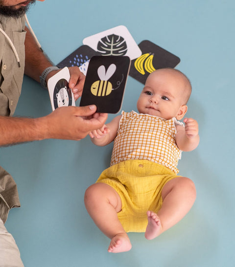 Tarjetas Didácticas para Bebés TAF TOYS
