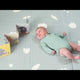 Tapete de Foamy para Bebés Urban Garden Extra Grande TAF TOYS